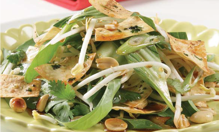 Mountain-bread munchies with Asian green salad showing bok choy bean sprouts and peanuts